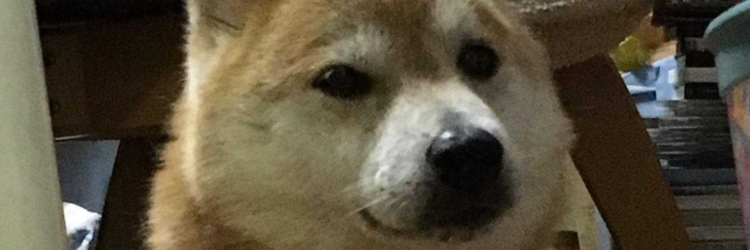 Pirolin082's profile banner image