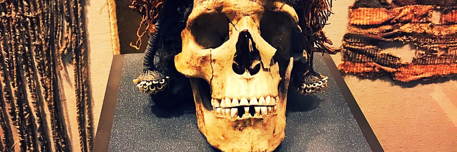 Renee Asher pickup banner