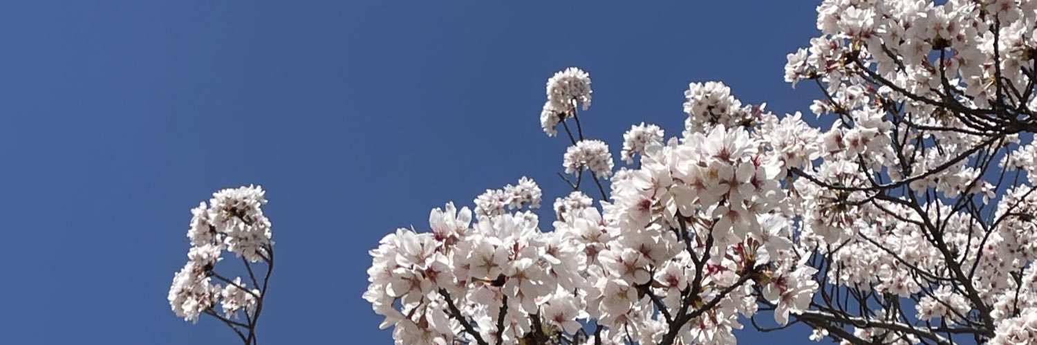 daisuke04712's profile banner image