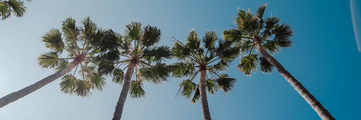 brivnnvl's profile banner image