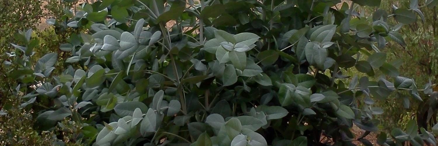 Erwin_GR's profile banner image
