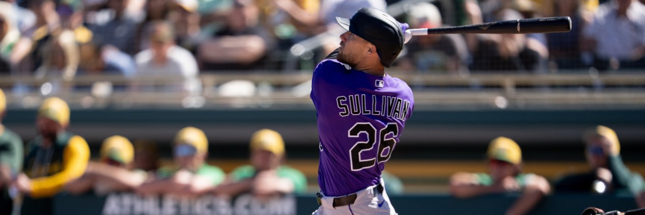 Brettsully's profile banner image
