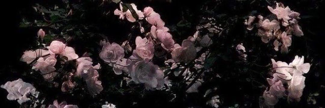 Aldsbt's profile banner image