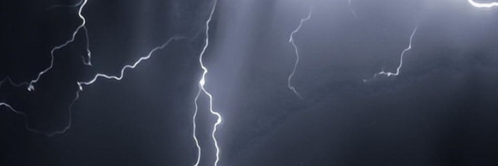 daniseraaa's profile banner image
