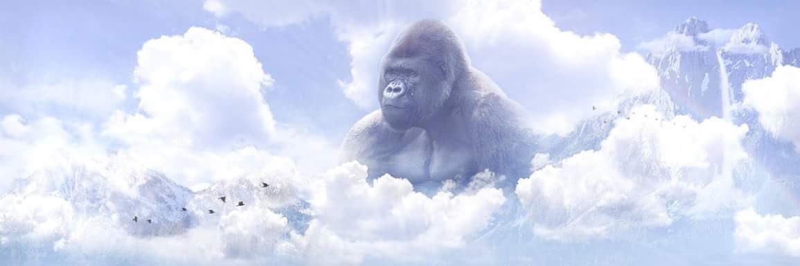 itsLoftyyyy's profile banner image