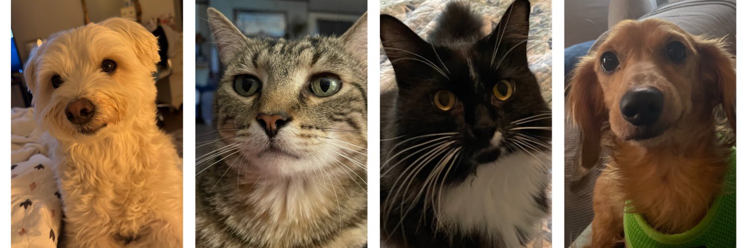 Nick Cartwright banner