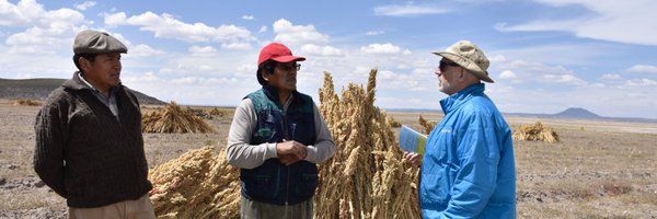 GoGoQuinoa Profile Banner