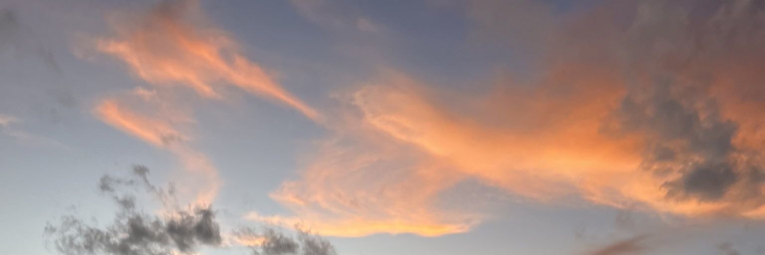 FollowtehFallen's profile banner image