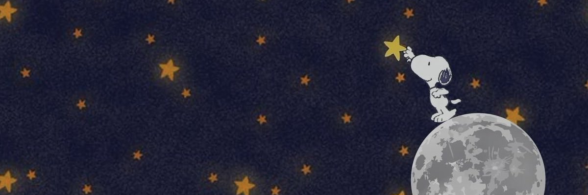 roosa⸆⸉ met ariana. banner