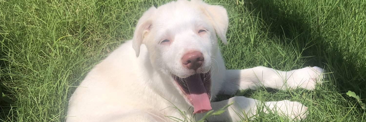 Halie_Hart's profile banner image