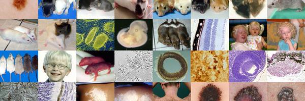 EuSPCR Profile Banner