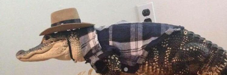 Joshypus's profile banner image