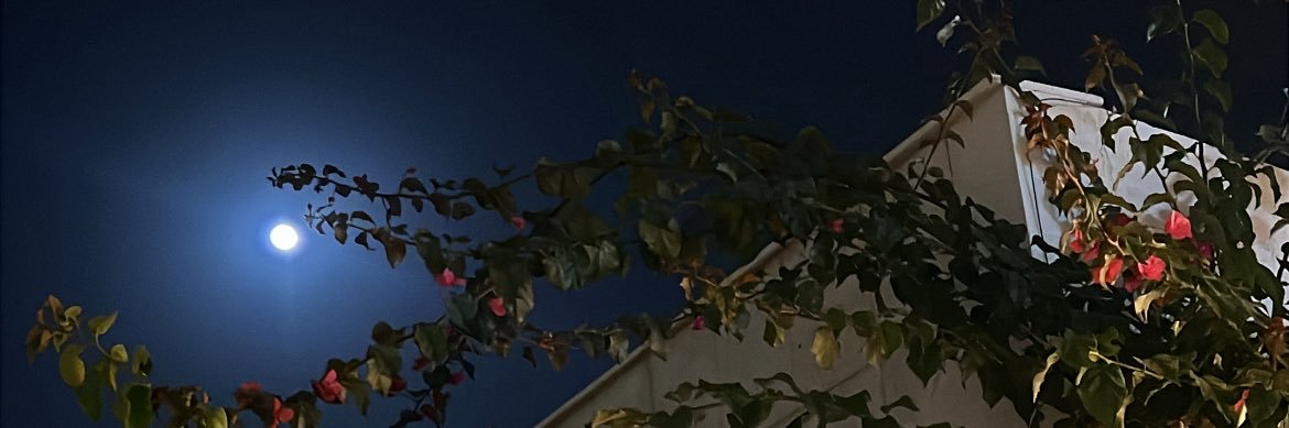 mano544's profile banner image