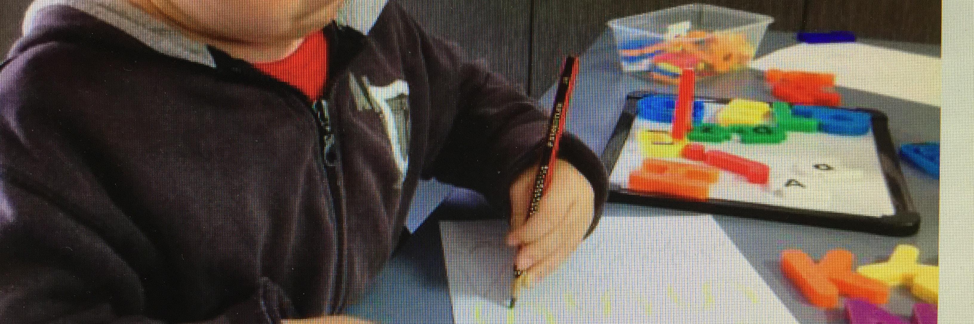 Rachel Wilson banner