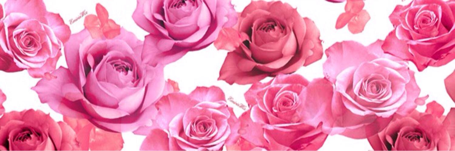 i__am__arice's profile banner image
