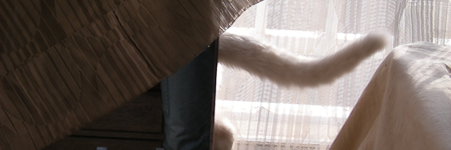 oyogijin's profile banner image