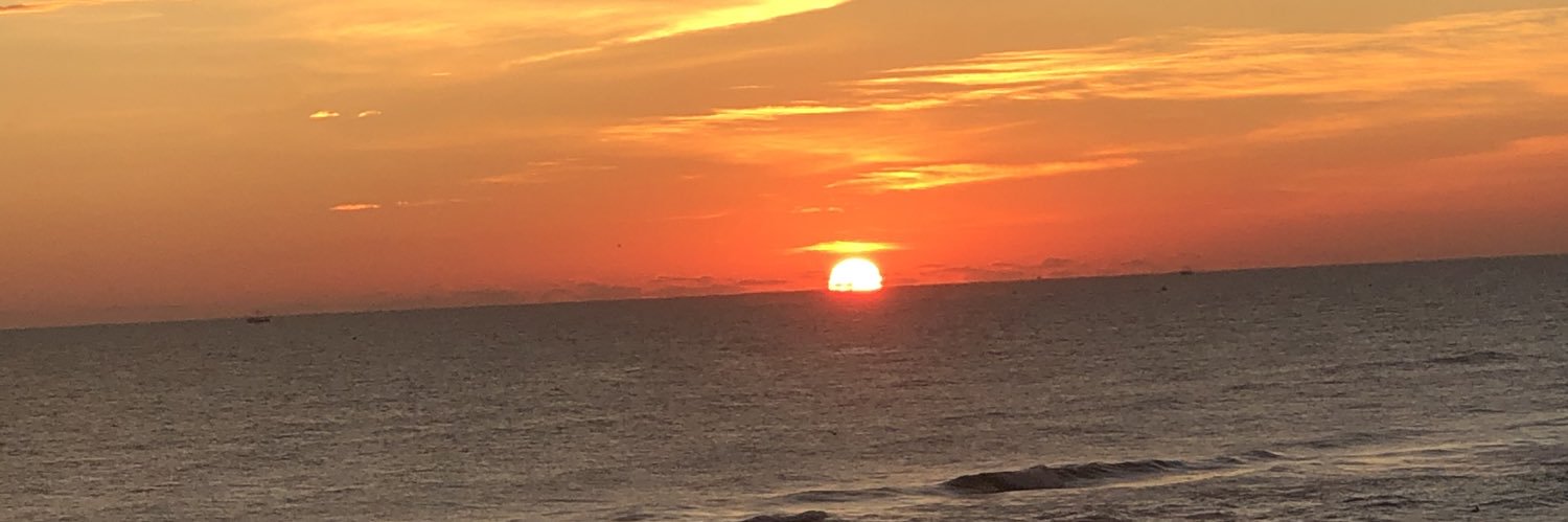 SumterChick's profile banner image