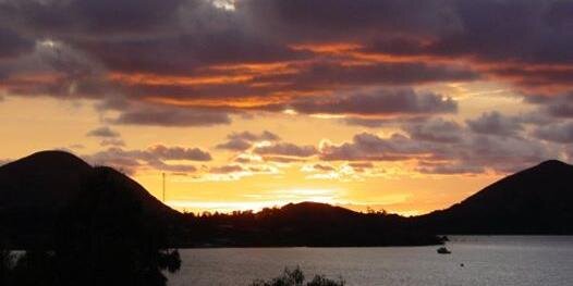 Calestous Juma banner