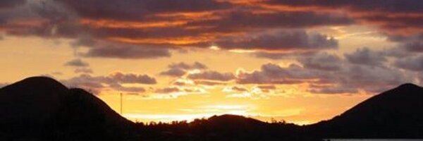 calestous Profile Banner