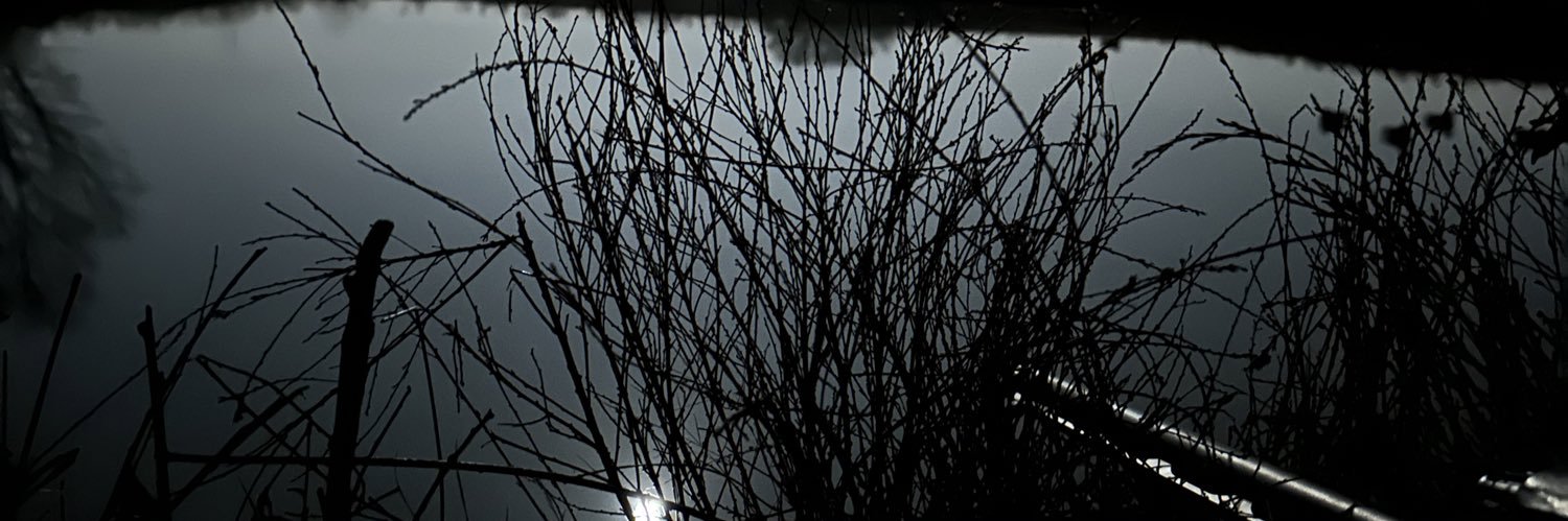 P_L_Adams's profile banner image
