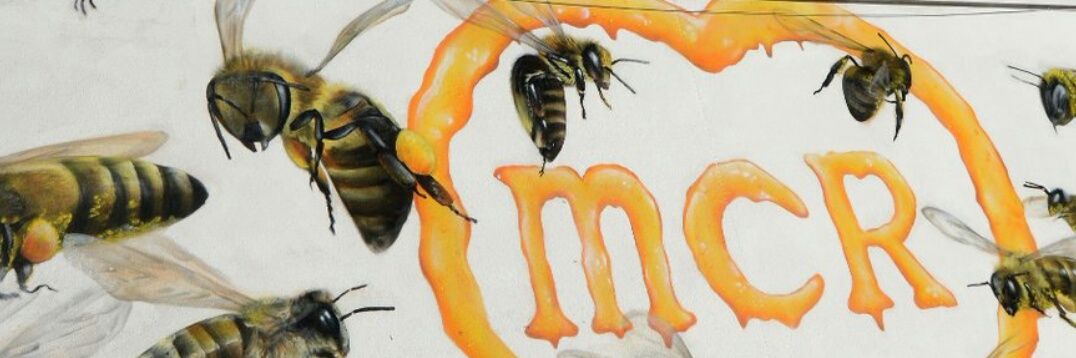 mark_insanity's profile banner image