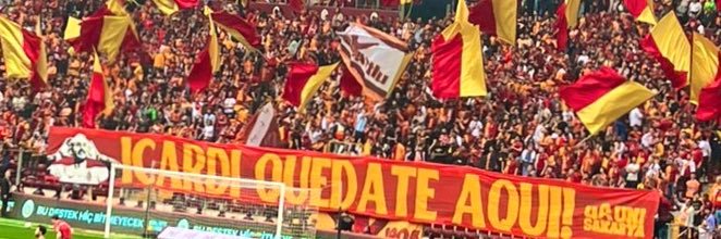 ardainho's profile banner image