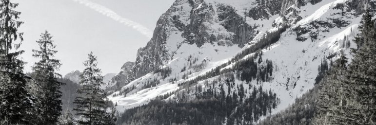 maxammann_'s profile banner image