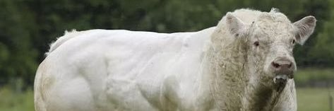 Scarlos9's profile banner image