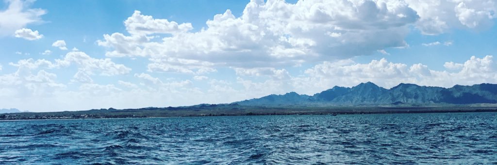 missbrittneee's profile banner image