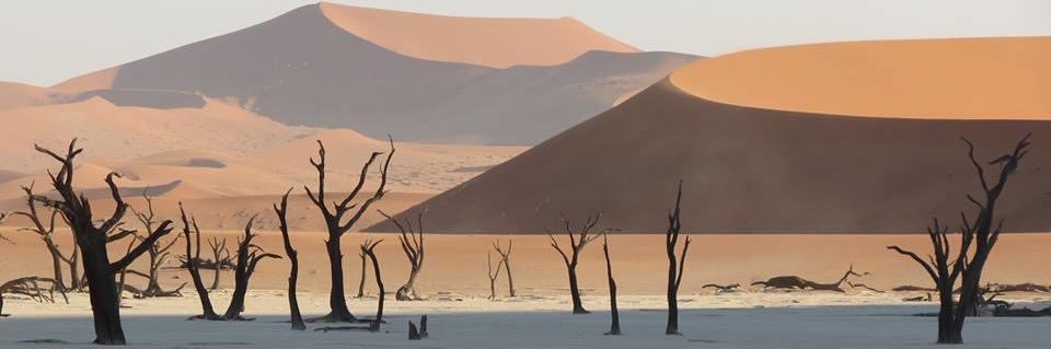 EdMcIsaac's profile banner image