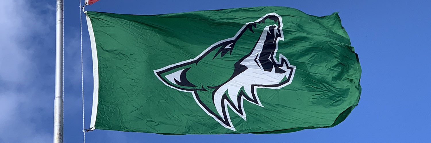 Old Town High School banner