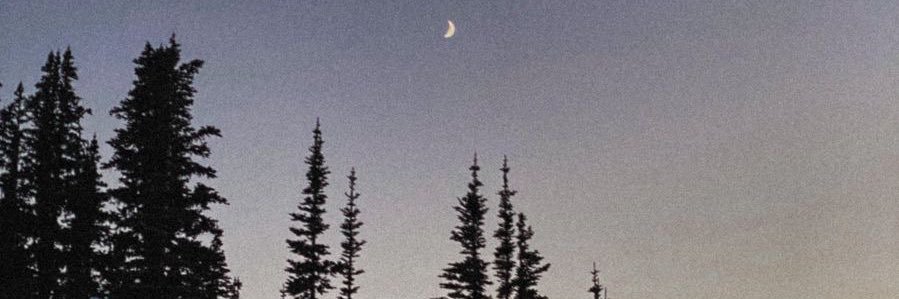 AshtonRunions's profile banner image
