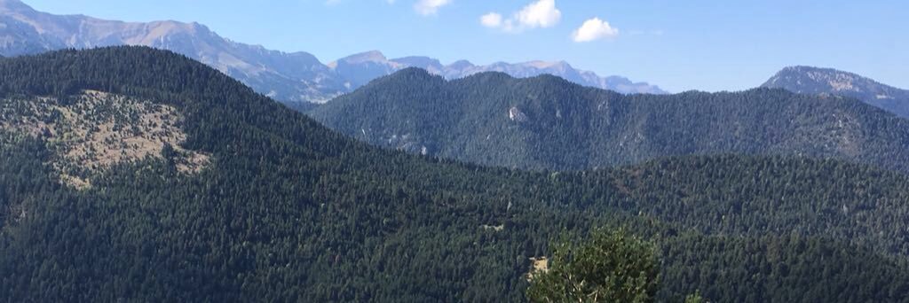 immajubert's profile banner image