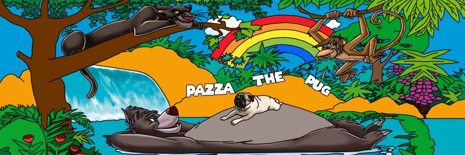 akaPazza's profile banner image