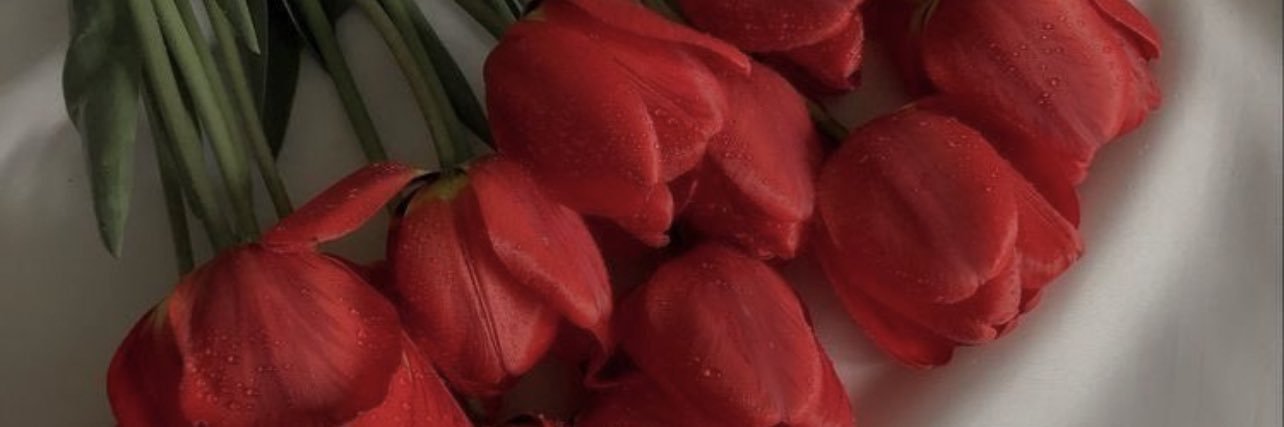 elluin_manon's profile banner image