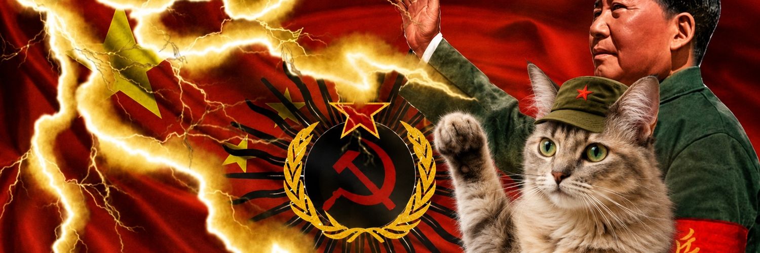 periclesrbt's profile banner image
