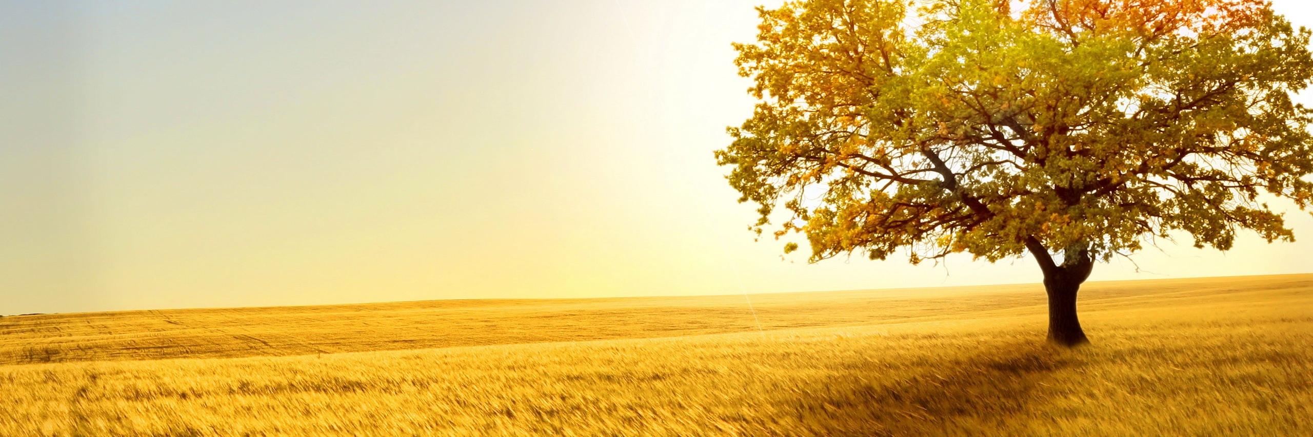 MDalpalta's profile banner image