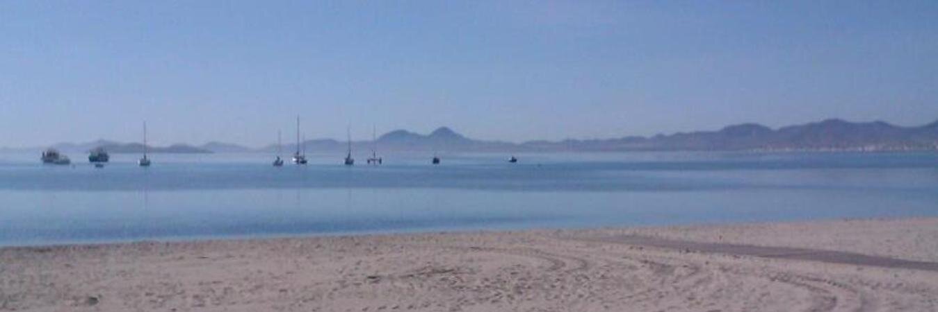 Nicholas Green banner