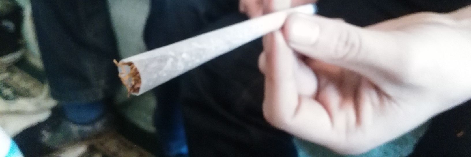 FabioSarcasmo's profile banner image