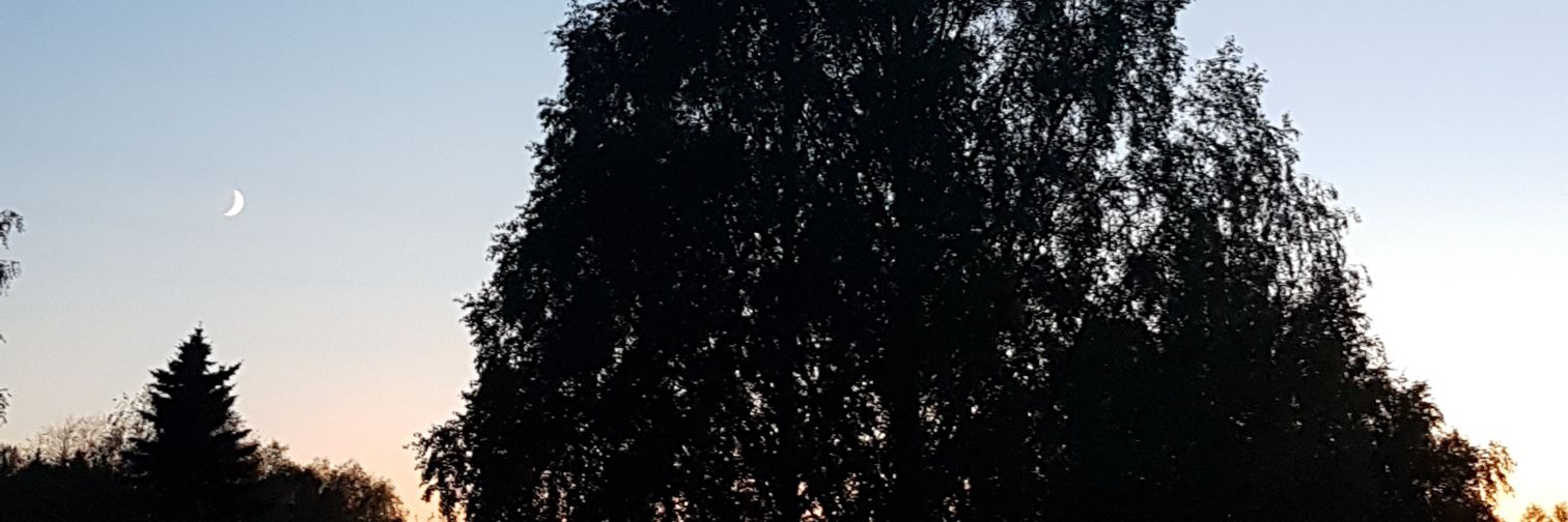 javetintevajask's profile banner image