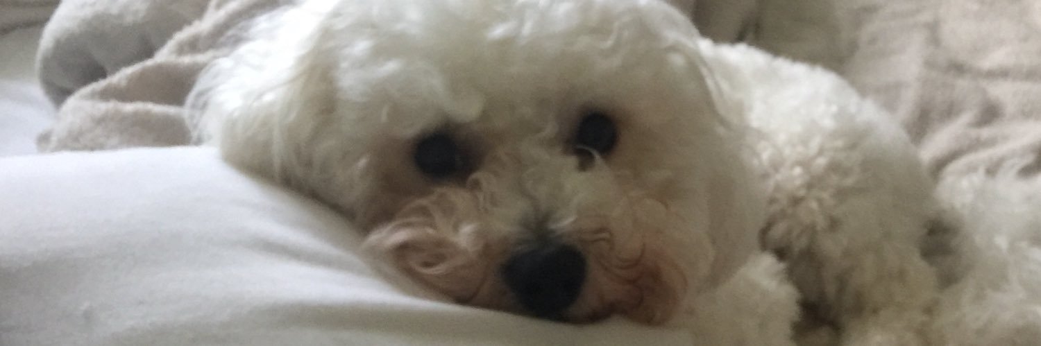 emmavicbuck's profile banner image