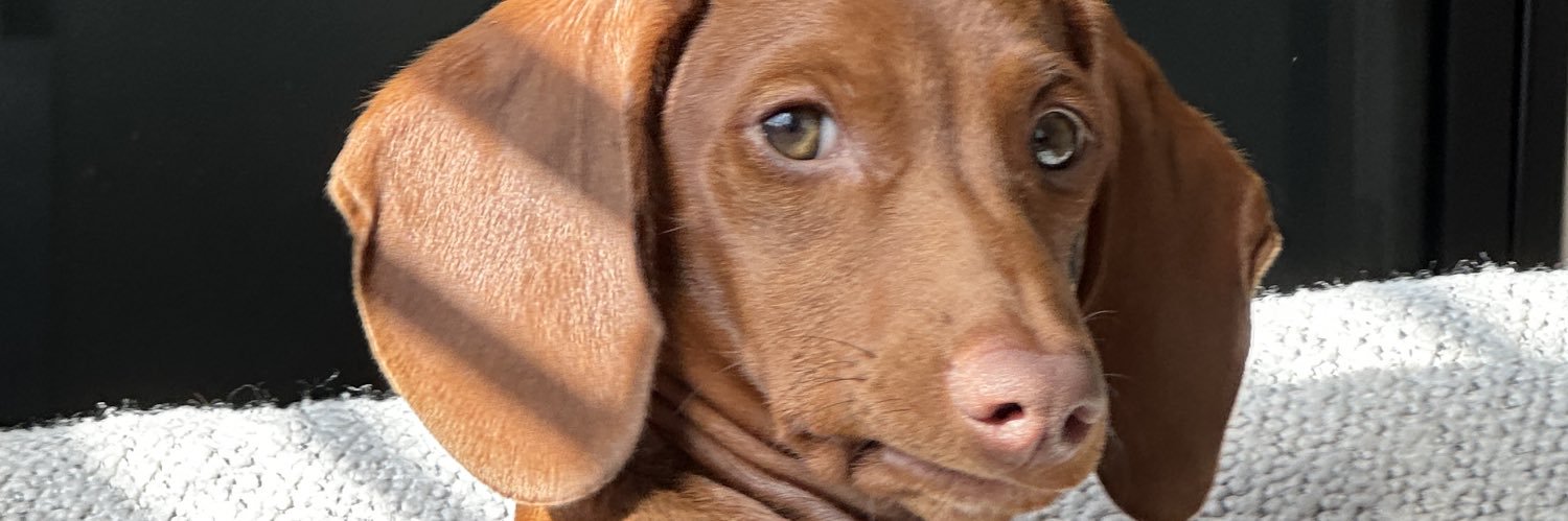 silmonee's profile banner image