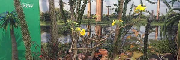 Paul_Rees_ Profile Banner