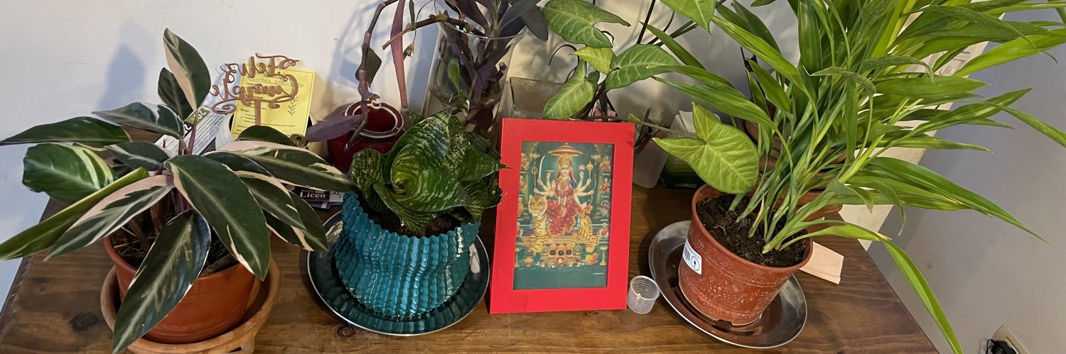 Gabriela Cei banner