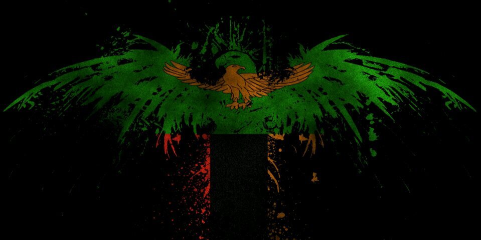 Blaque Logique banner