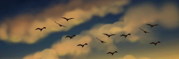 zimitron's profile banner image