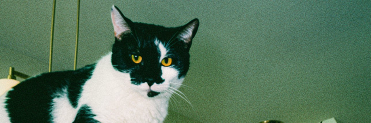 marlenahhh's profile banner image