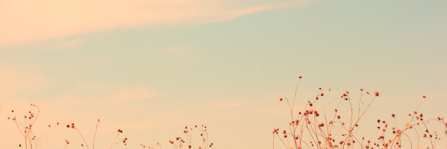 leenazid's profile banner image