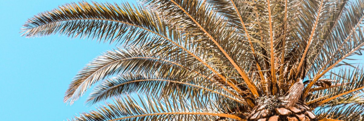 calledbydaniel's profile banner image