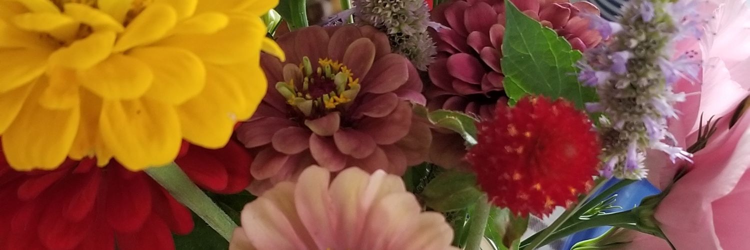 MsSternotti's profile banner image